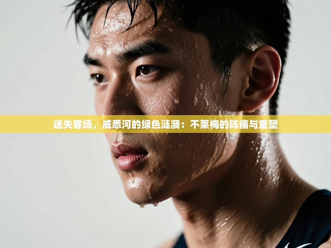 迷失客场，威悉河的绿色涟漪：不莱梅的阵痛与重塑